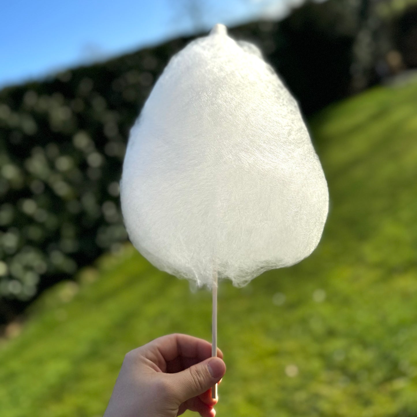 Zuckerwattenstab