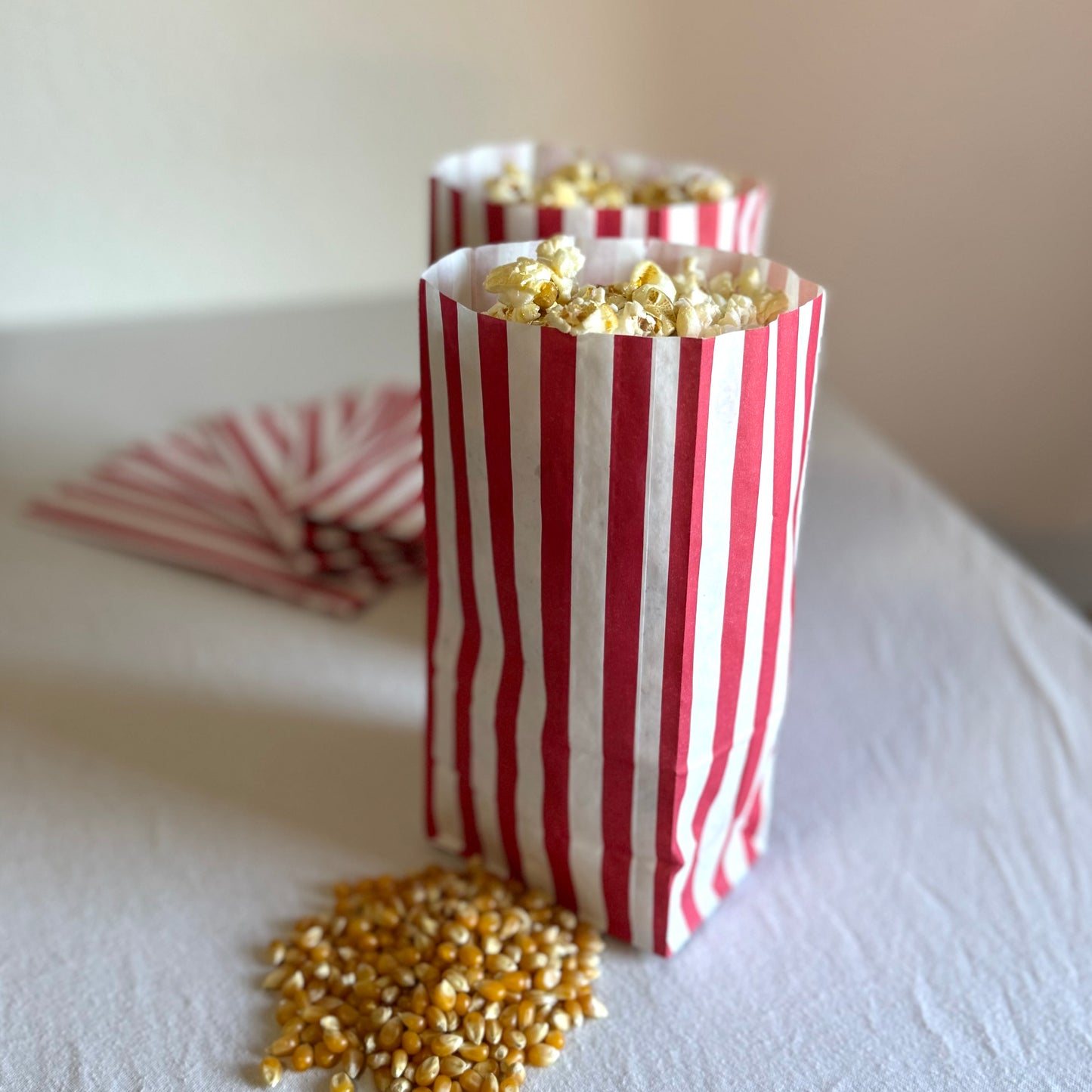 Tagesmiete Popcornmaschine