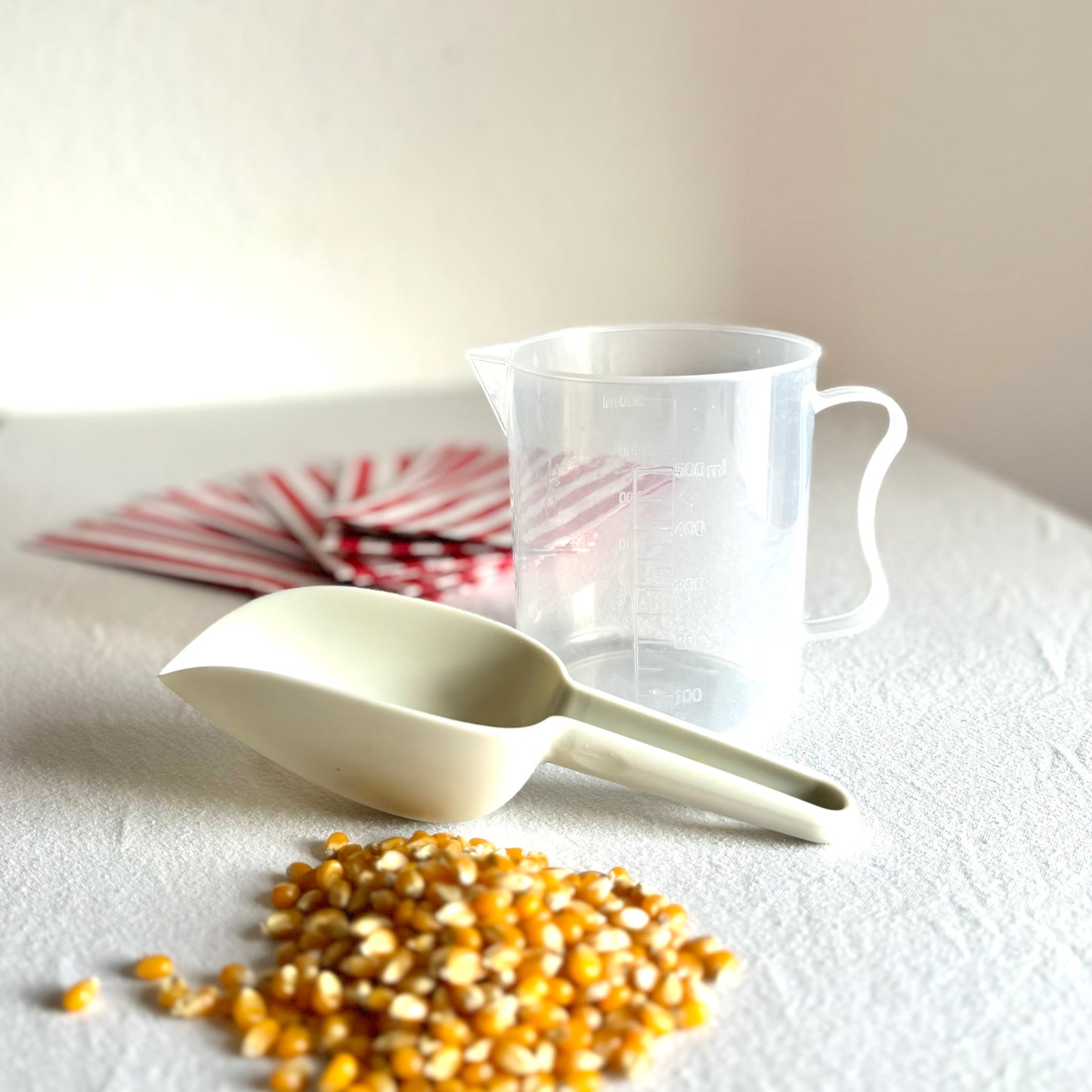 Tagesmiete Popcornmaschine